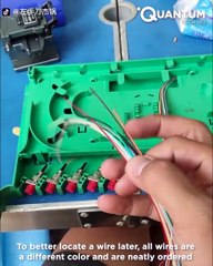 Fastest and Most Skillful Workers Ever