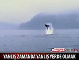 YANLIŞ ZAMANDA YANLIŞ YERDEYDİ