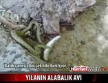 KORKUNÇ YILANIN ALABALIK AVI