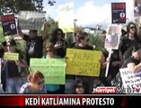 KEDİ KATLİAMINA PROTESTO