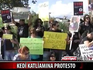 KEDİ KATLİAMINA PROTESTO