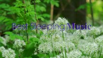 Beautiful Relaxing Music for Stress Relief l Meditation l Calming Music l Best Sleeping Music l @ Meditation Relax Music