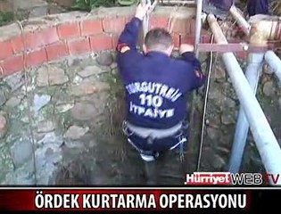 KUYUYA DÜŞEN ÖRDEK BÖYLE KURTARILDI