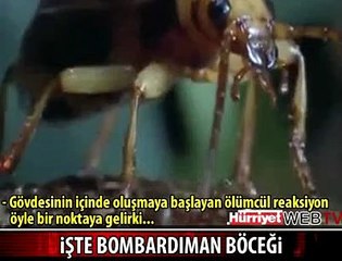 SADECE ÖLDÜRÜYOR YEMİYOR