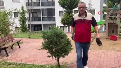 Merdiven boşluğuna düşen baykuş böyle kurtarıldı