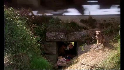 Ma vie de chien Bande-annonce (DE)