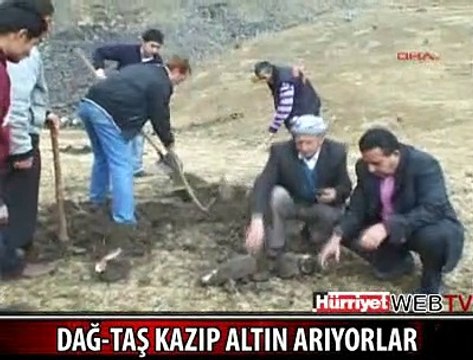 DAĞ TAŞ ALTIN ARIYORLAR