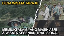 Sensasi Petik Daun Teh di Desa Wisata Taraju