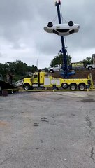 Ce papa révèle le genre de son bébé d'une façon géniale