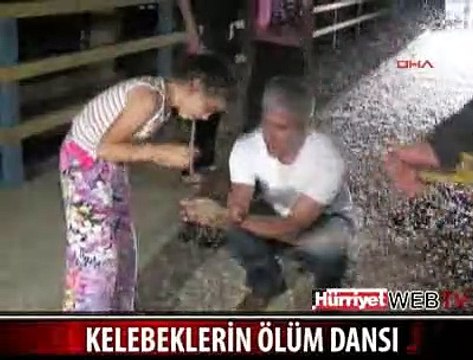 KELEBEKLERİN ÖLÜM DANSI