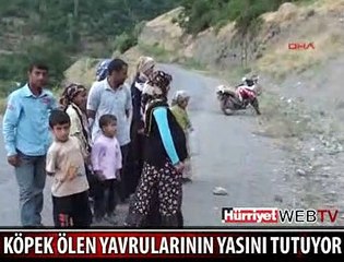 BUNU YAPAN İNSAN OLAMAZ
