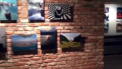 Bir Gün Herkes 5 Dakikalığına Fotoğrafçı Olacak, Sahipsiz Hayvanların da Karnı Doyacak!