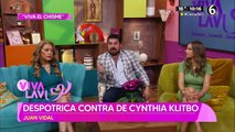 Juan Vidal se va contra Cynthia Klitbo