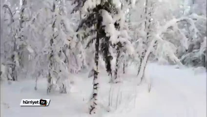 Ayşe Arman ve Alya Laponya’da