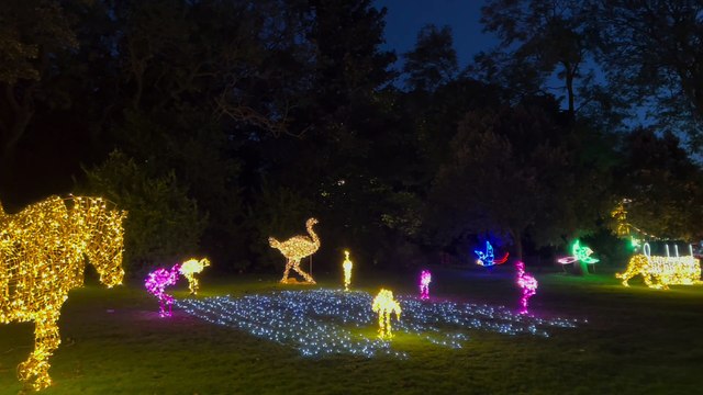 Families enjoy the opening night of Festival of Light 2022 at Roker Park