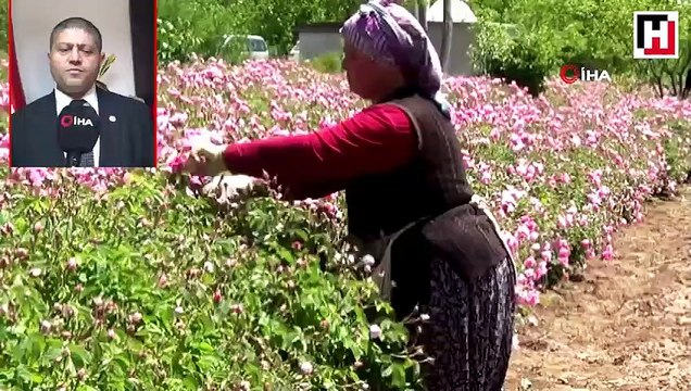 Gramı altınla yarışıyor! Litresi 70 bin TL'ye alıcı buluyor