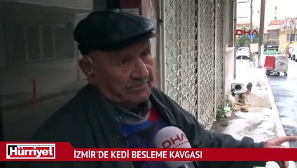 Yaşlı adam İzmir'deki kedi kavgasını anlattı