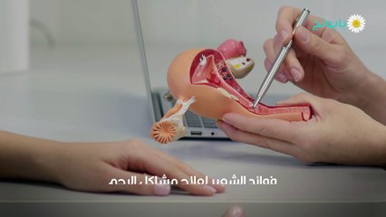 فوائد الشعير للرحم