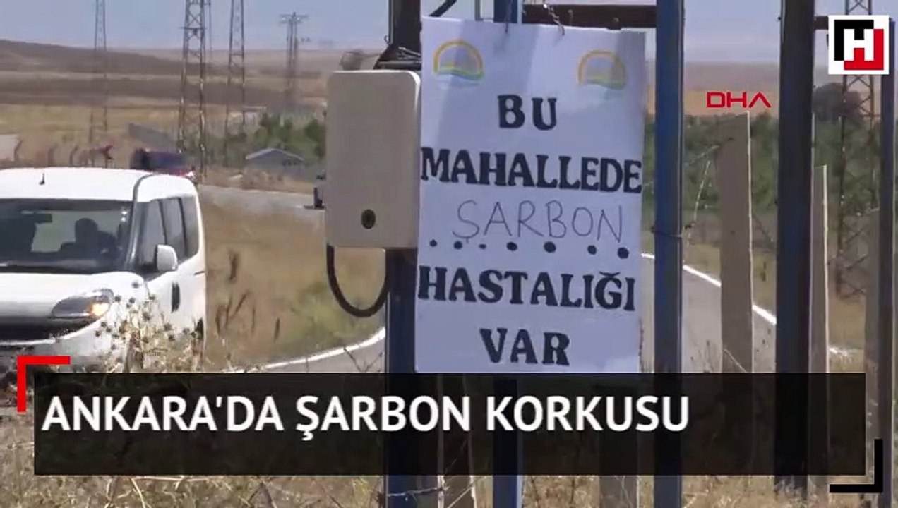 Ankara'da şarbon korkusu