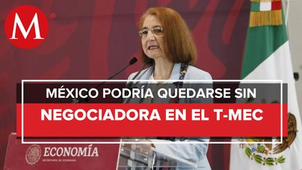 Piden renuncia a Luz María de la Mora en medio de debate energético del T-MEC