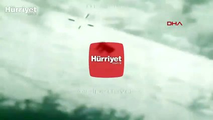 Güneydoğu'da Anadolu Parsı böyle görüntülendi
