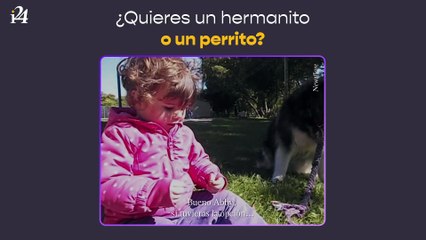 ¿Quieres un hermanito o un perro?