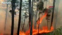 Mersin'de yangın, yerleşim yerlerini tehdit ediyor