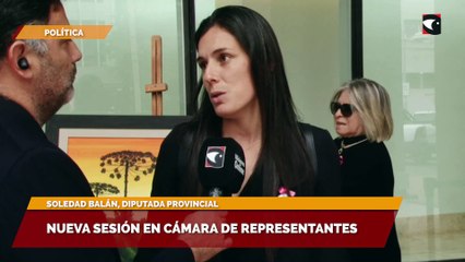 Nueva sesión en Cámara de representantes