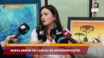 Nueva sesión en Cámara de representantes