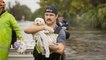 Organizations helping displaced animals after Hurricane Ian