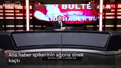 Ana haber spikerinin ağzına sinek kaçtı