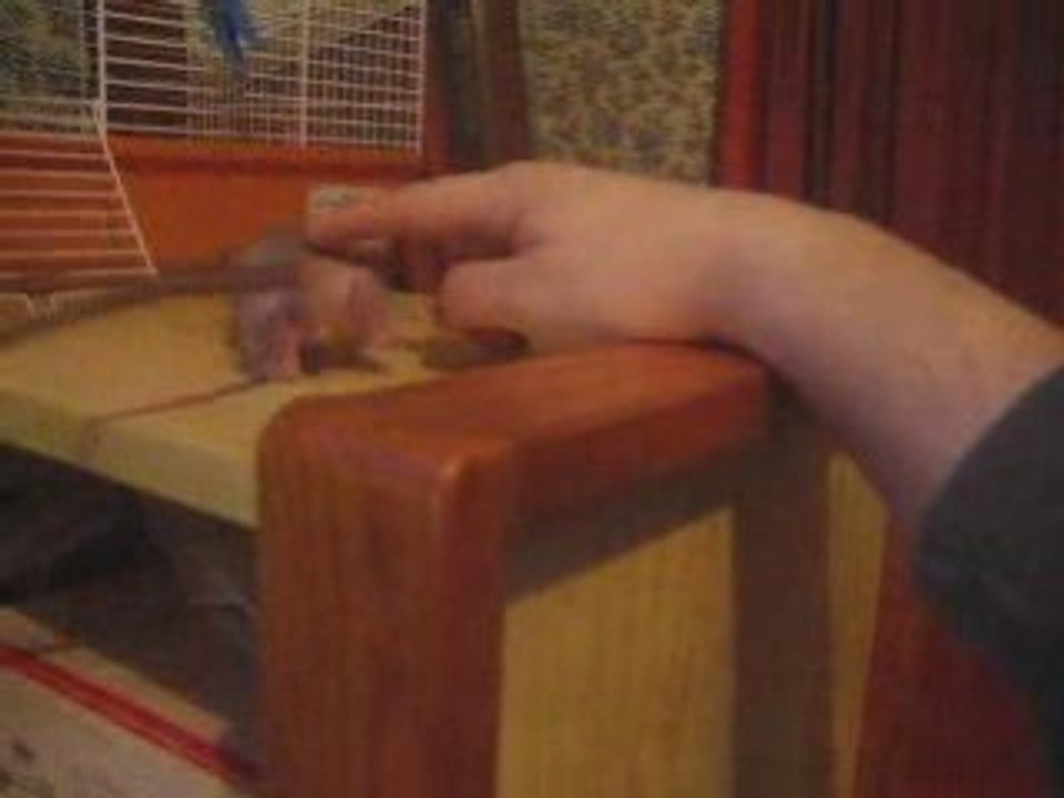 MVI_2398