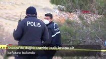 Ankara'da dağlık arazide kesik insana ait kafatası bulundu