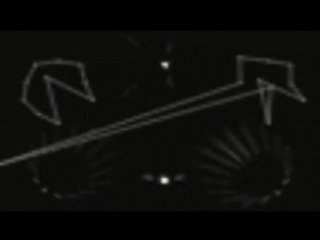 Coccinelle ( Ladybug )