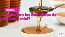 ¿Cuáles son los beneficios de consumir miel?