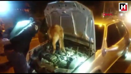 Ankara'da araç motoru ve meyve suyu kutusunda uyuşturucu bulundu