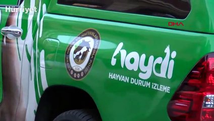 Ankara'da apartmanda ikinci köpek operasyonu 9 köpek kurtarıldı