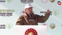 Ankara'da ilk fidanı Cumhurbaşkanı Erdoğan dikti