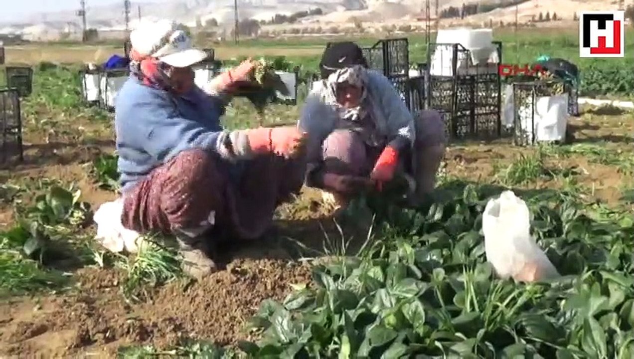'Çamurlu ayakkabıyla bankaya girilmez diye çıkardım'
