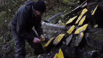 Penché dans le vent Bande-annonce (EN)