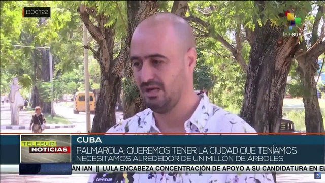 Gobierno cubano traza estrategias para recuperar arbolado urbano