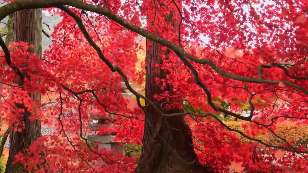 Relaxing  music with lovely sceneries.