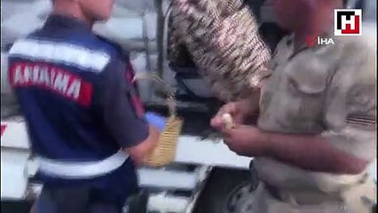 Civciv satmaya giden anne ve kızı kazada hayatını kaybetti