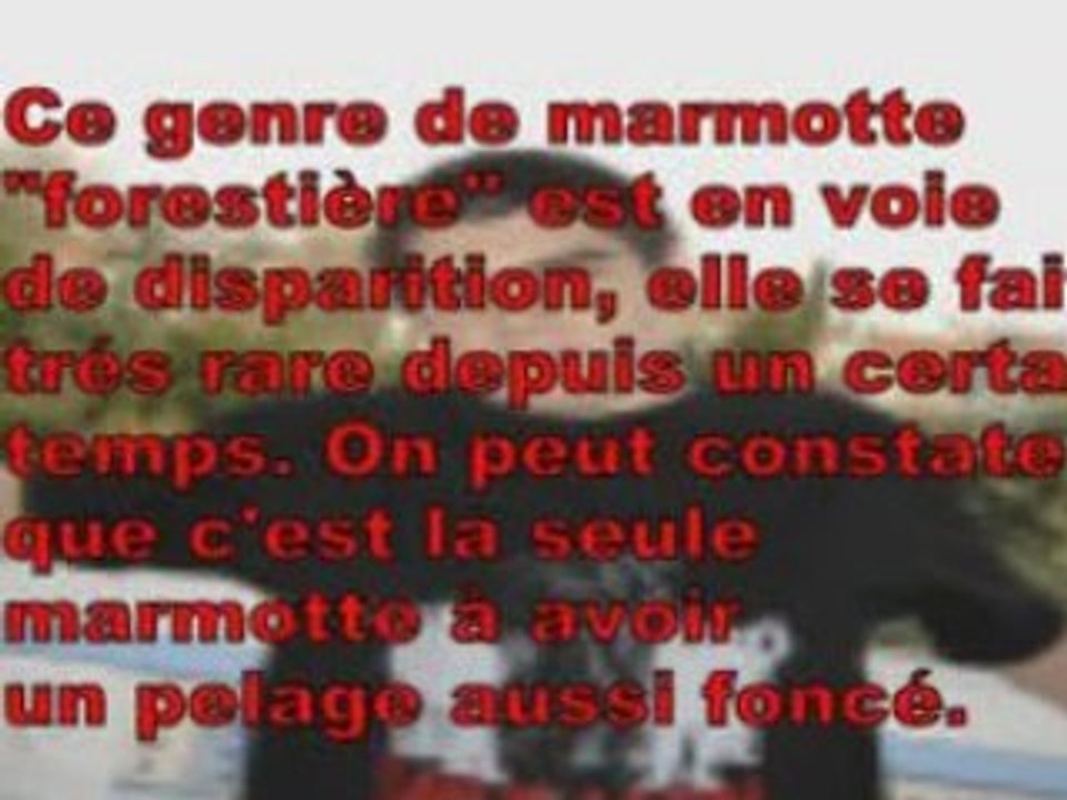 Documentaire exclusif