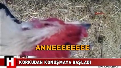 TAM KESİLECEKKEN ÖYLE BİR ŞEY DEDİ Kİ..