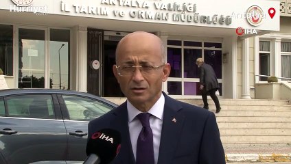 Antalya’da balıkçılar 3 haftada 36 bin balon balığı kuyruğu getirdi