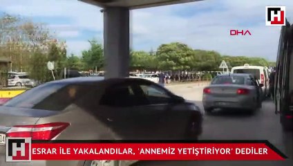 Uyuşturucu maddeyi kim yetiştirdi? Anne mi çocuklar mı...