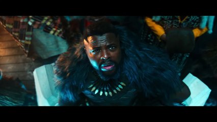 Black Panther Wakanda Forever Movie - Fight