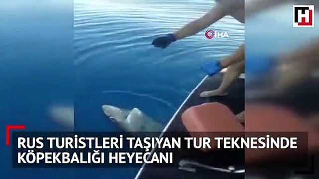 Antalya’da oltaya takılan 3 metrelik köpek balığı turistleri şoke etti