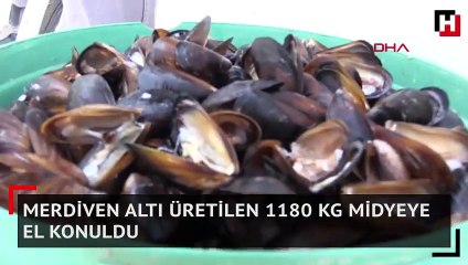Merdiven altı üretilen 1180 kg midyeye el konuldu